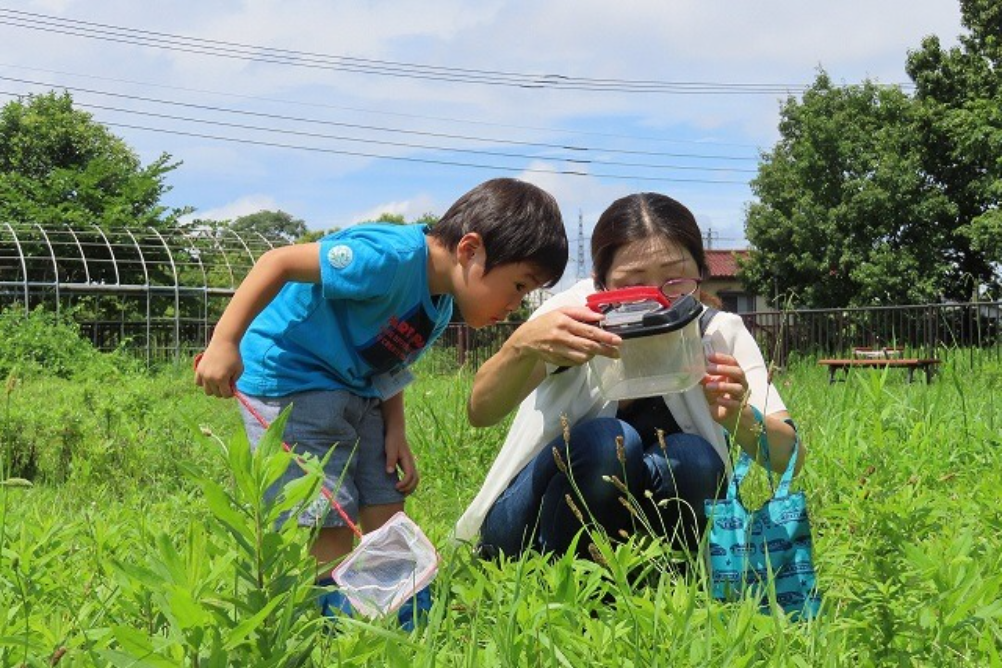 桑袋ビオトープ公園 家族で探そうバッタ ちびっこ自然体験 東京都 親子 子ども 子育てママ向けイベント情報 リトル ママ